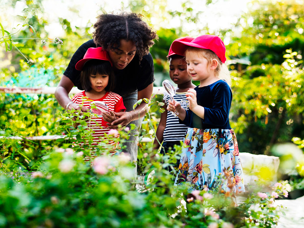 Join Our Team & Help Shape Young Minds Through Nature-Based Education!
