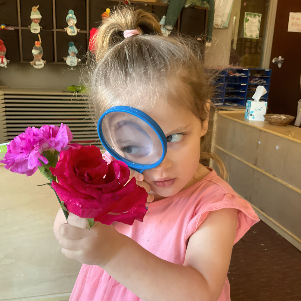 Engaging STEAM Activities That Spark Creativity & Curiosity