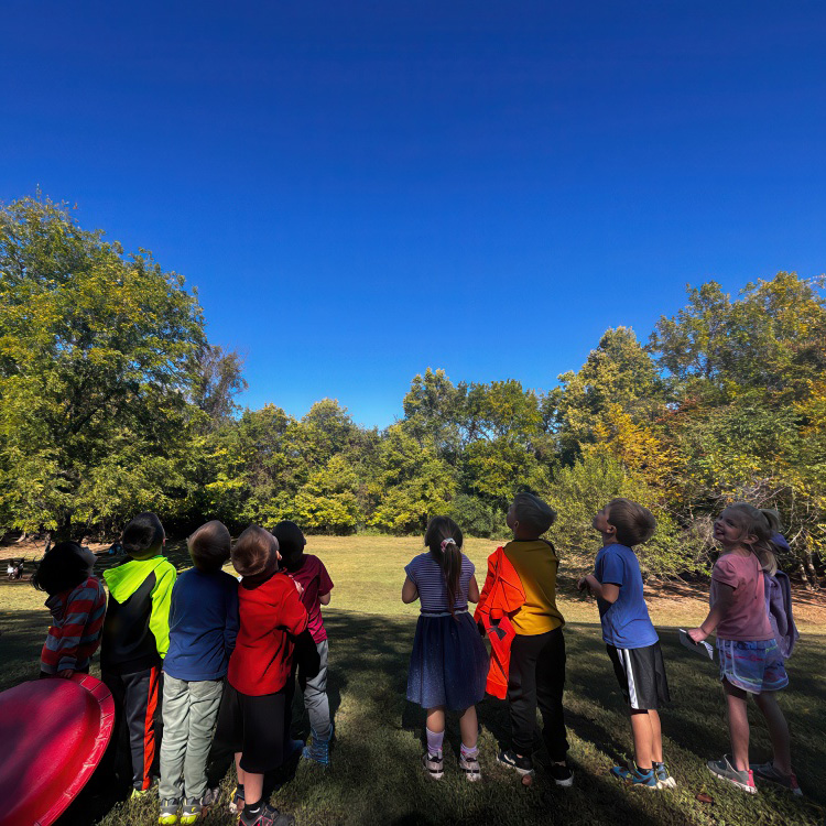 Exciting Field Trips That Make Learning an Adventure