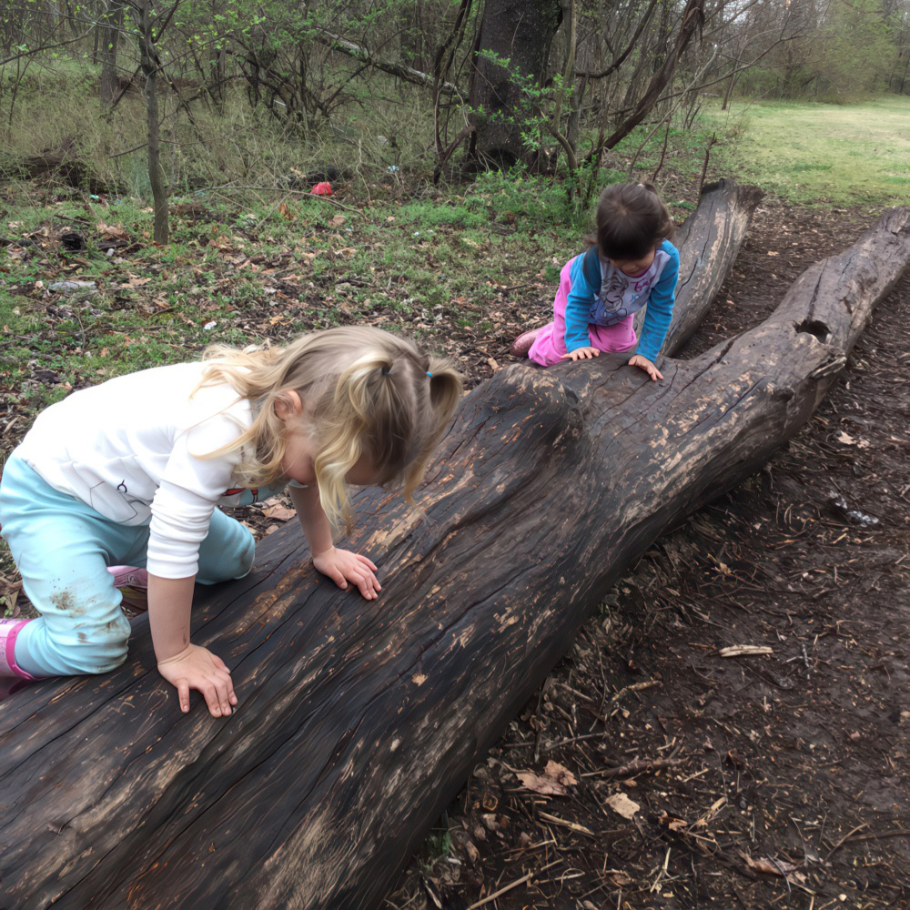 Hands-On STEAM Adventures Build Future Innovators