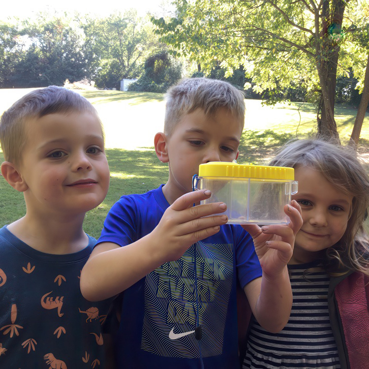 A Nature-Based Learning Approach for Curious Young Minds