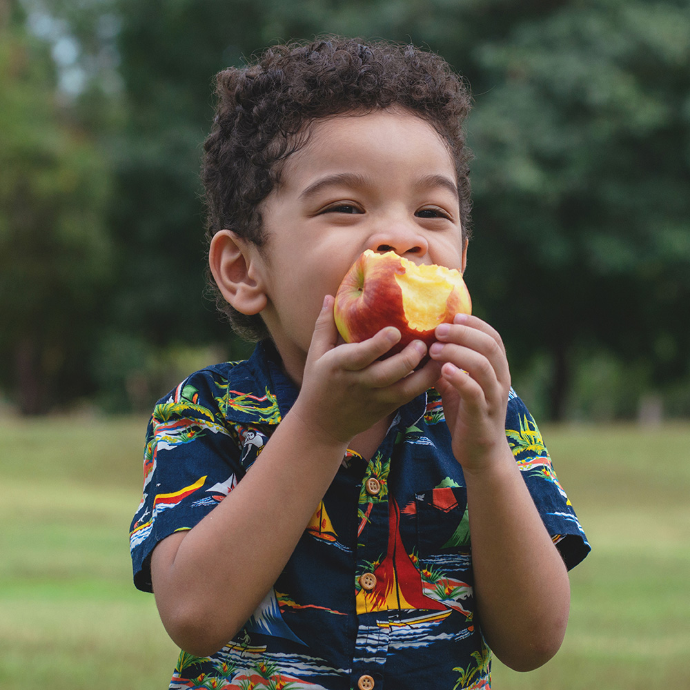 Wholesome Meals & Snacks Fuel Growing Minds & Bodies