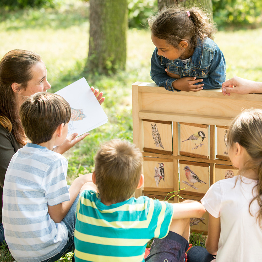 Five Acres of Wonder & You Get To Teach in It